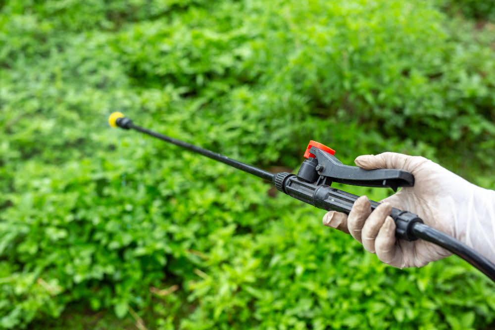 pest-control-spray