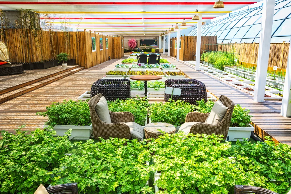 Roof top gardening sitting idea