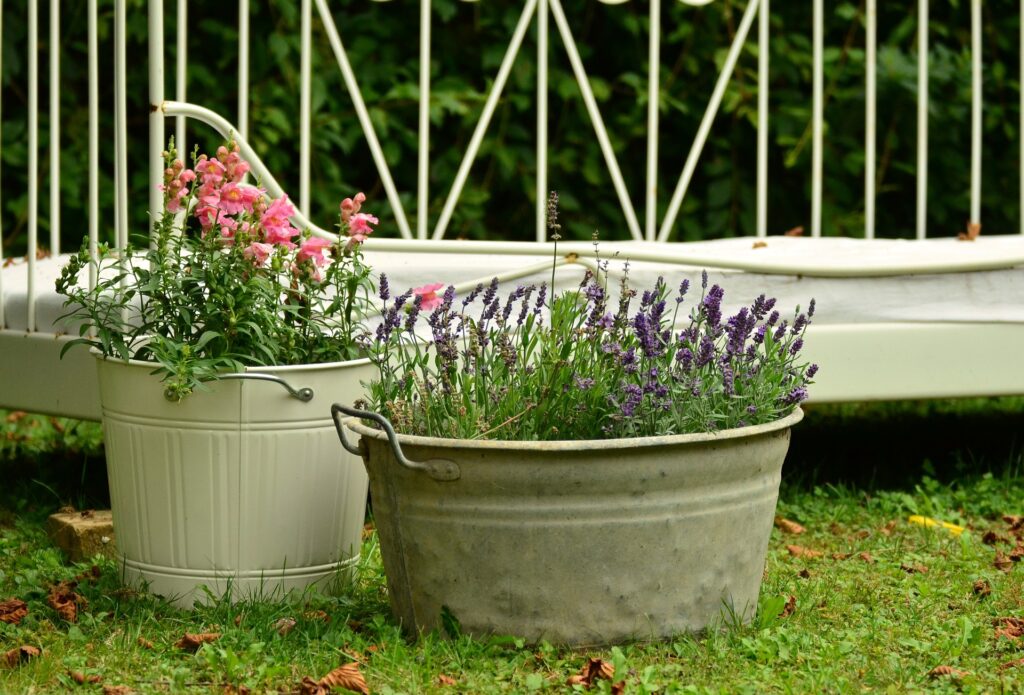 bucket fixed plants in lawns