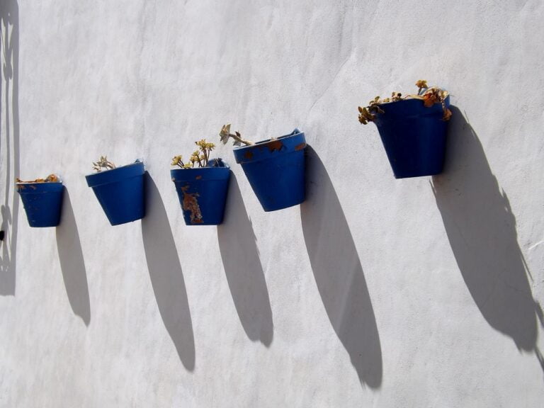 Wall fixed pots design and ideas