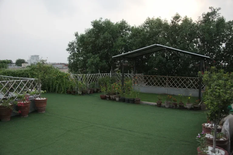 Defence Roof Gardens | Roof Top