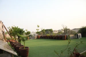 Gardening Services with Defence Gardens