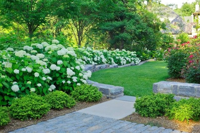 Commercial-Landscaping